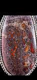 Fossilized Dinosaur Bone Sterling Silver Pendant.   $85