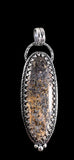 Fossilized Dinosaur Bone Sterling Silver Pendant.    $85