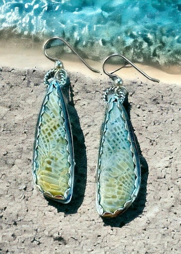 Fossilized Centipede Coral Sterling Silver Earrings.  $50