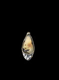 Montana Agate sterling silver ring SIZED TO ORDER.  $50