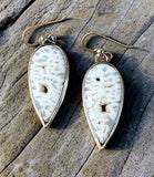 Petrified Wood Sterling Silver Earrings.    $50