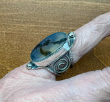 Scenic Agate Sterling sever Ring size 6.  $55