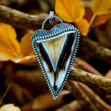 Montana Agate Heart Sterling Silver Pendant.     $90