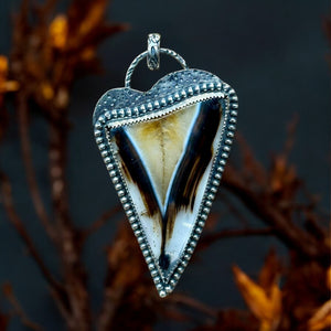 Montana Agate Heart Sterling Silver Pendant.     $90