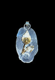 Toredo Petrified Wood Sterling Silver Pendant.   $80