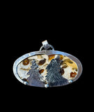 Toredo Petrified Wood Sterling silver Pendant.       $85