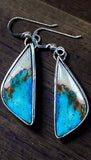 Aqua Terra Jasper Sterling Silver Earrings.   $50