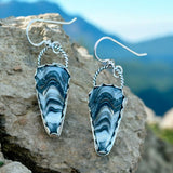 Zebra Onyx Sterling Silver Earrings.    $50