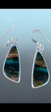Blue Opal Petrifiedwood Earrings.   $55