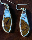 Petrifed Wood Sterling Silver Earrings.   $50
