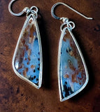 Petrified Wood Sterling Silver Earrings.  $50