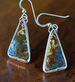 Petrified Wood Sterling Silver Earrings.   $50