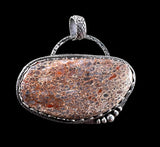 Fossilized Dinosaur Bone Sterling Silver Pendant.    $85