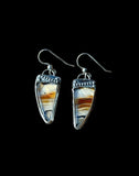Montana Agate Sterling Silver Earrings.   $50