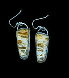 Petrified Wood Sterling Silver Earrings.   $55