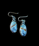 Crazy Lace Agate Sterling Silver Earrings     $50