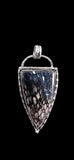 Petrified Wood Sterling Silver Pendant   $80