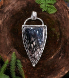 Petrified Wood Sterling Silver Pendant   $80