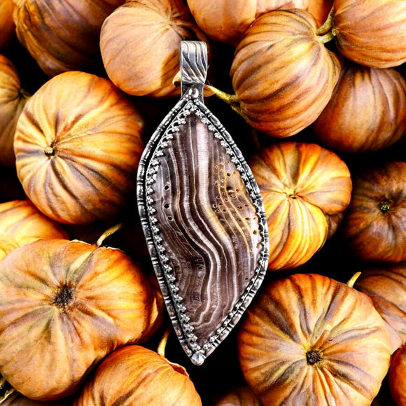 Hells Canyon Herringbone Petrified Wood ( rare ) Sterling Silver Pendant.