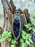 Palm Root Petrified Wood Sterling Silver Pendant.    $70