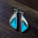 Aqua Terra Jasper Sterling Silver Earrings.   $50