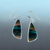 Blue Opal Petrifiedwood Earrings.   $55