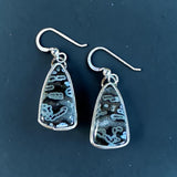 Tube Agate sterling silver Earrings $50