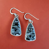 Tube Agate sterling silver Earrings $50