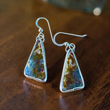 Petrified Wood Sterling Silver Earrings.   $50