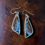 Petrified Wood Sterling Silver Earrings.  $50