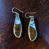 Petrifed Wood Sterling Silver Earrings.   $50