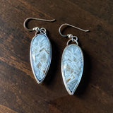 Agate sterling silver earrings    $50