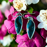 Blue Opal Sterling Silver Earrings.   $50