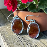 Moss Agate Sterling Silver Earrings. $50