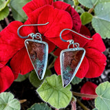 Moss Agate Sterling Silver Earrings.  $50