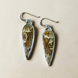 Petrified Wood Sterling Silver Earrings.    $50