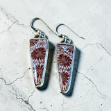 Fossilized Coral Sterling Silver Earrings.  $50