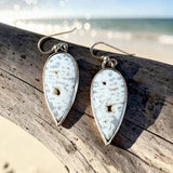 Petrified Wood Sterling Silver Earrings.    $50
