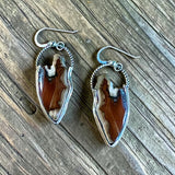 Agate Sterling Silver Earrings.   $50