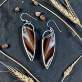 Agate Sterling Silver Earrings.    $50