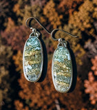 Ocean Jasper Sterling Silver Earrings.   $50