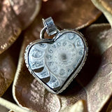 Ammonite Fossil Sterling Silver Pendant     $60