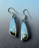 Agate Sterling Silver Earrings.   $50