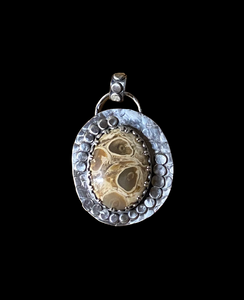 Petrified Palm Root sterling silver pendant.   $65